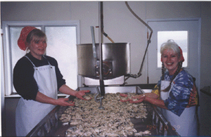 cleaning oysters